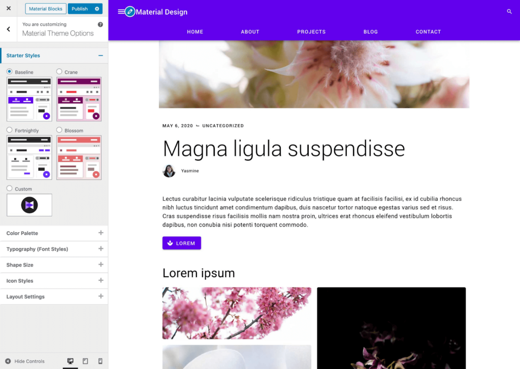 خيارات التصميم المخصصة داخل البرنامج المساعد Material Design