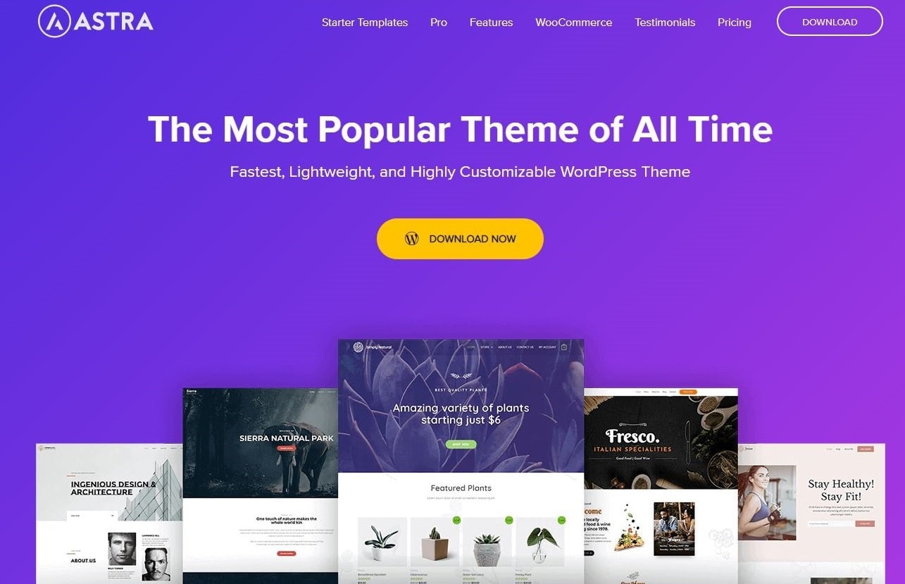 Bağlı kuruluşlar için Astra WordPress teması için web sitesinin ekran görüntüsü.
