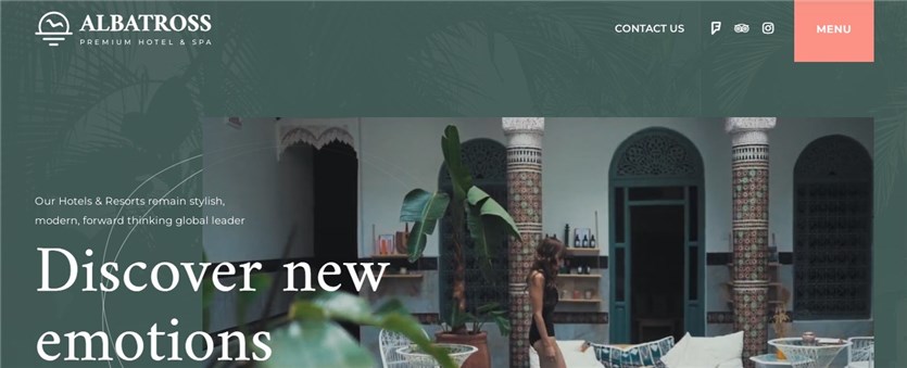 Albatross วิธีเลือกธีม WordPress ฟรี
