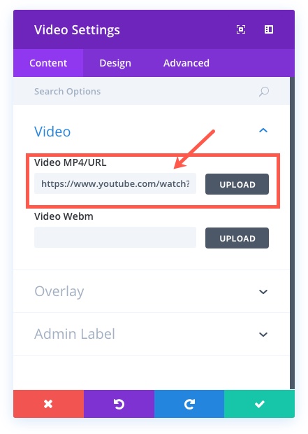 ディビとのビデオ