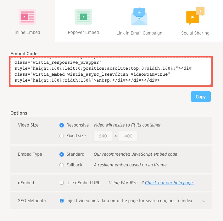 ディビとのビデオ