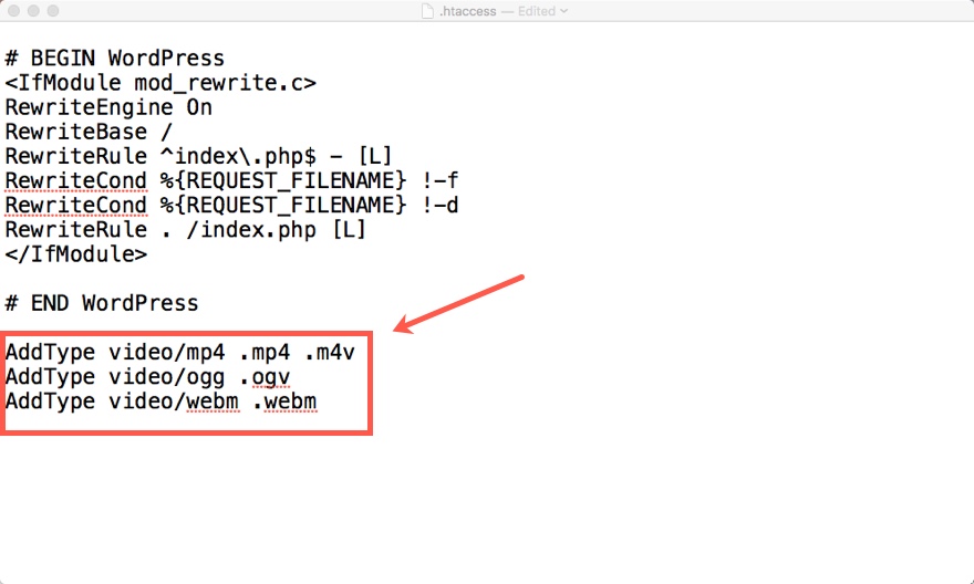 ディビとのビデオ