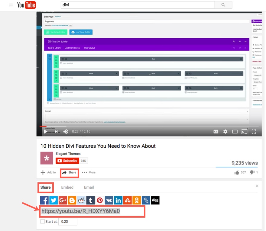 ディビとのビデオ