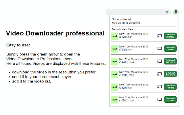 10+ 최고의 무료 비디오 다운로더 Chrome 확장 프로그램 74 video downloader professional