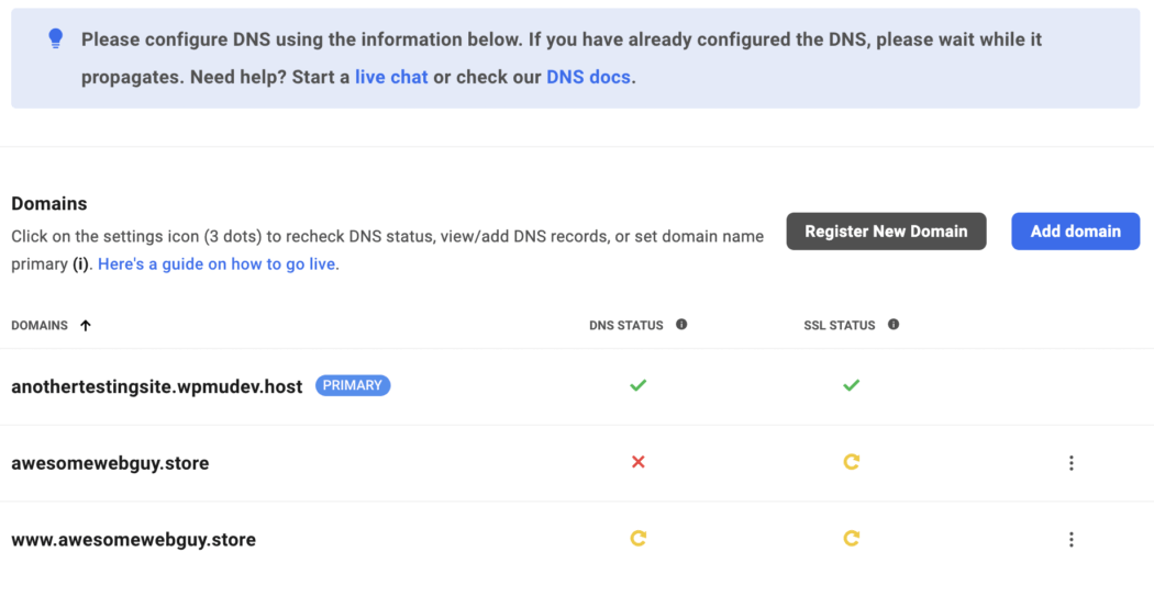 สถานะ DNS