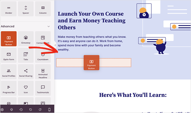 stripepaymentbuttonseedprod - SeedProd How to accept stripe payments with SeedProd payment button