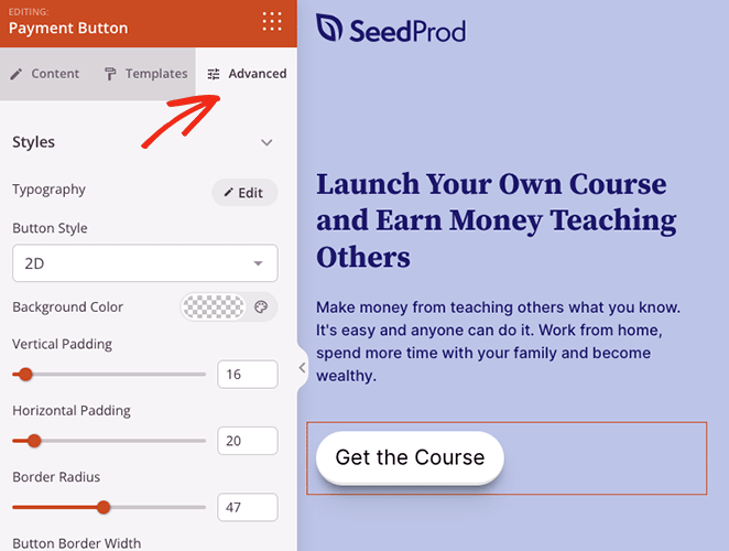 고급 결제 버튼 설정 - SeedProd Advanced payment button settings