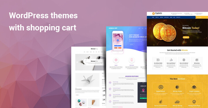 Thèmes WordPress avec panier