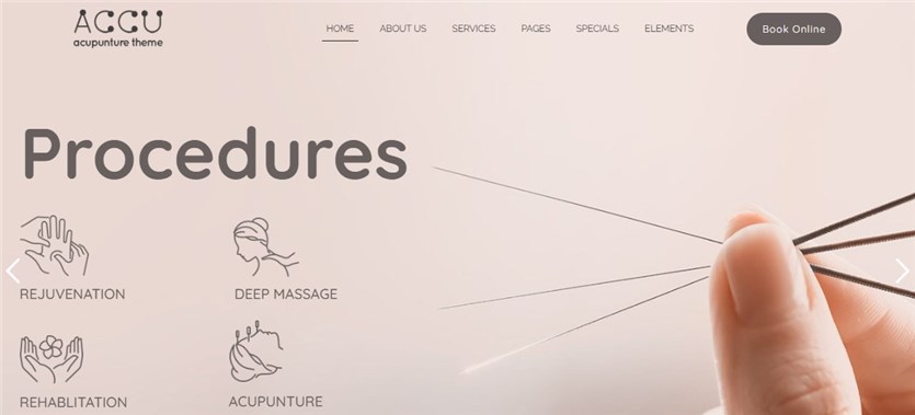 เทมเพลต Wordpress ของ Accu