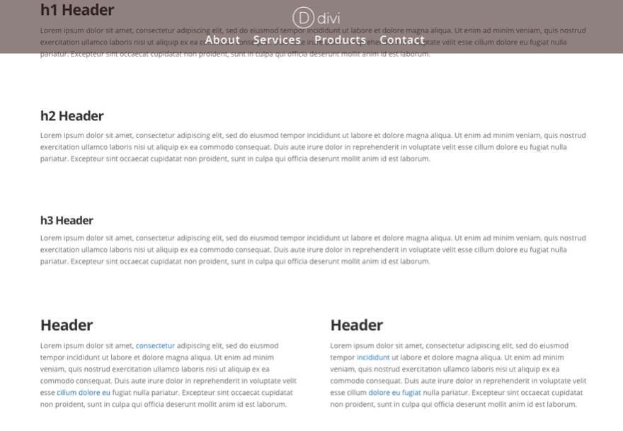 Divi 主题定制器