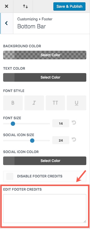 Divi 主题定制器