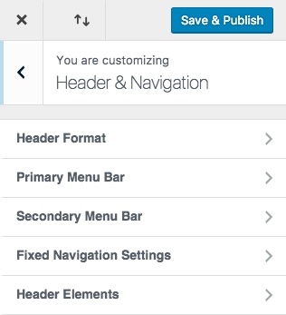 Divi 主题定制器