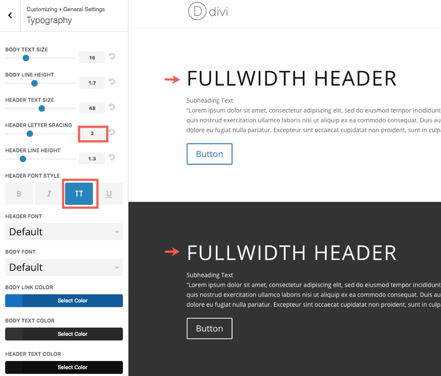 Divi 主题定制器