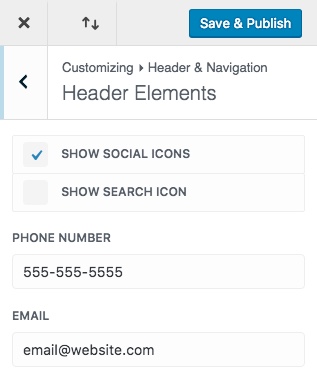 Divi 主题定制器