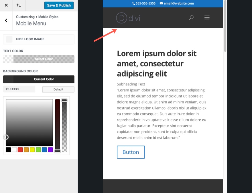 Divi 主题定制器
