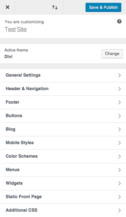 Divi 主题定制器