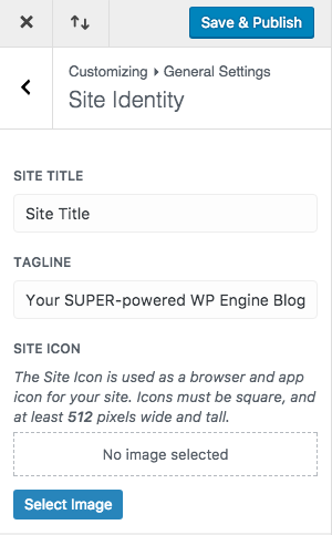 Divi 主题定制器