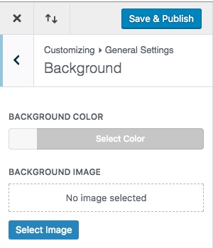 Divi 主题定制器