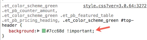 Divi 主题定制器