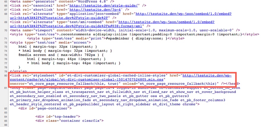 Divi 主题定制器