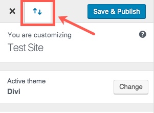 Divi 主题定制器