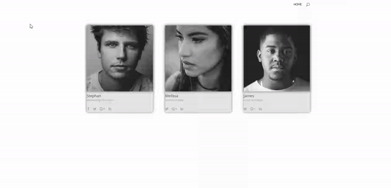 帶有生物的人模塊