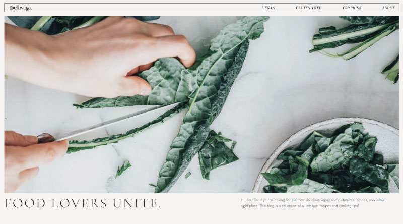 Die 7 besten WordPress-Blog-Vorlagen 9 Food Blog Website Kit
