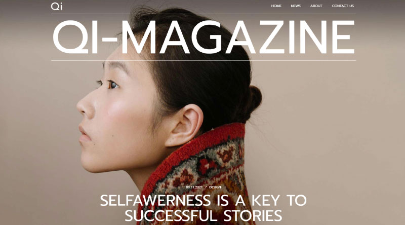 Die 7 besten WordPress-Blog-Vorlagen 12 Qi Magazine Demo