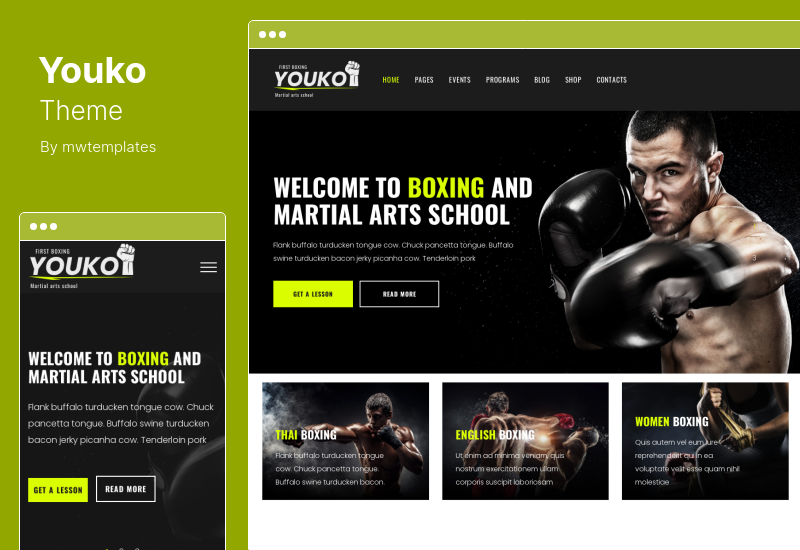Youko Theme - 武術 WordPress 主題