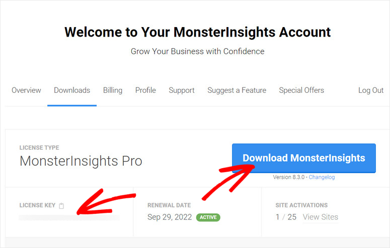 License-key-monsterinsights - IsItWP - เครื่องมือตรวจจับธีม WordPress ฟรี license-key-monsterinsights