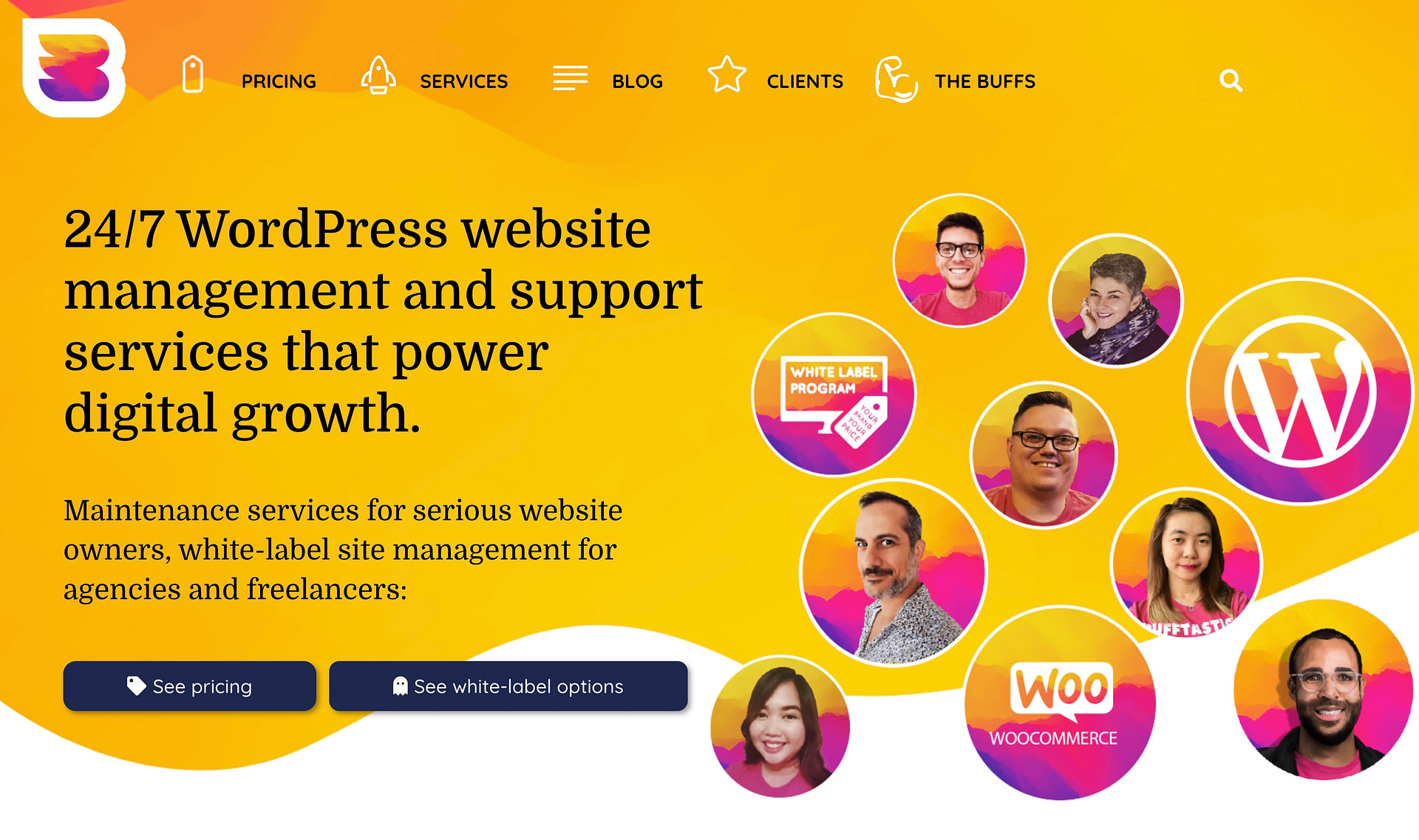 WPBuffs è un esempio di servizio di manutenzione di WordPress
