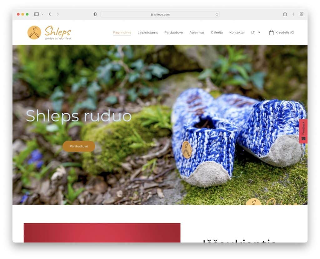 site-ul web shleps zyro