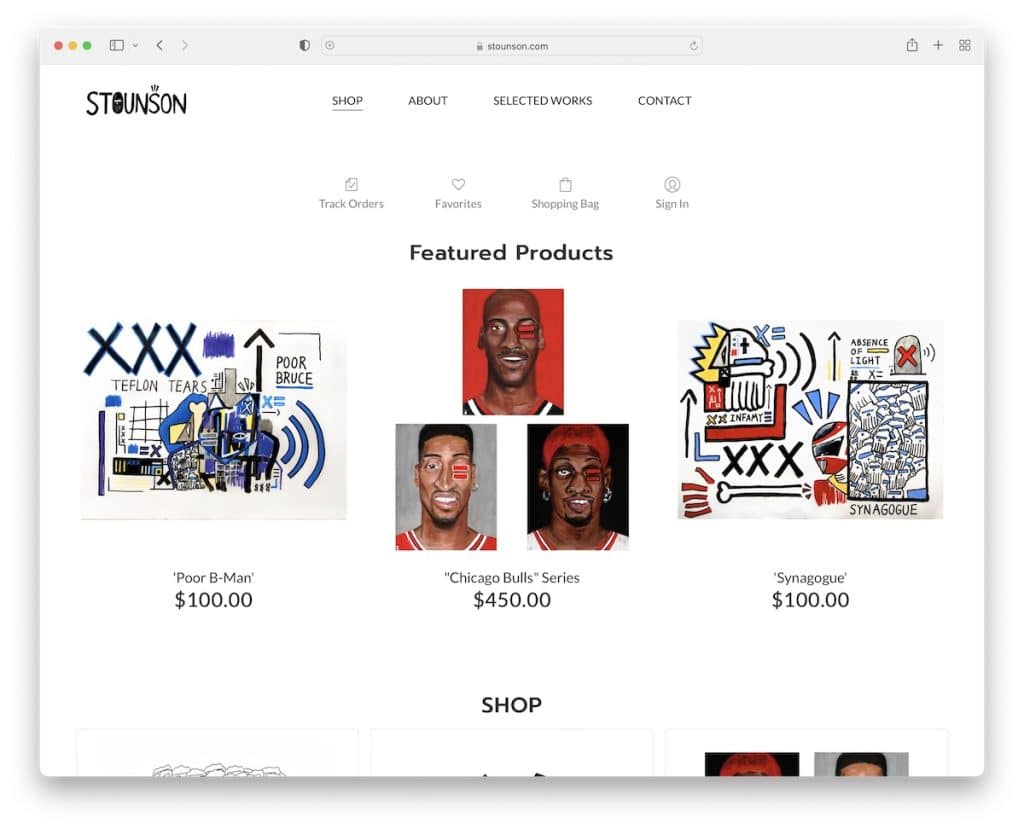 site-ul web stounson zyro