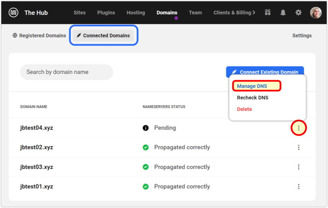 Verbundene Domänen verwalten DNS (wpmudev)
