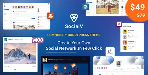 WordPress Social Network Website-Theme