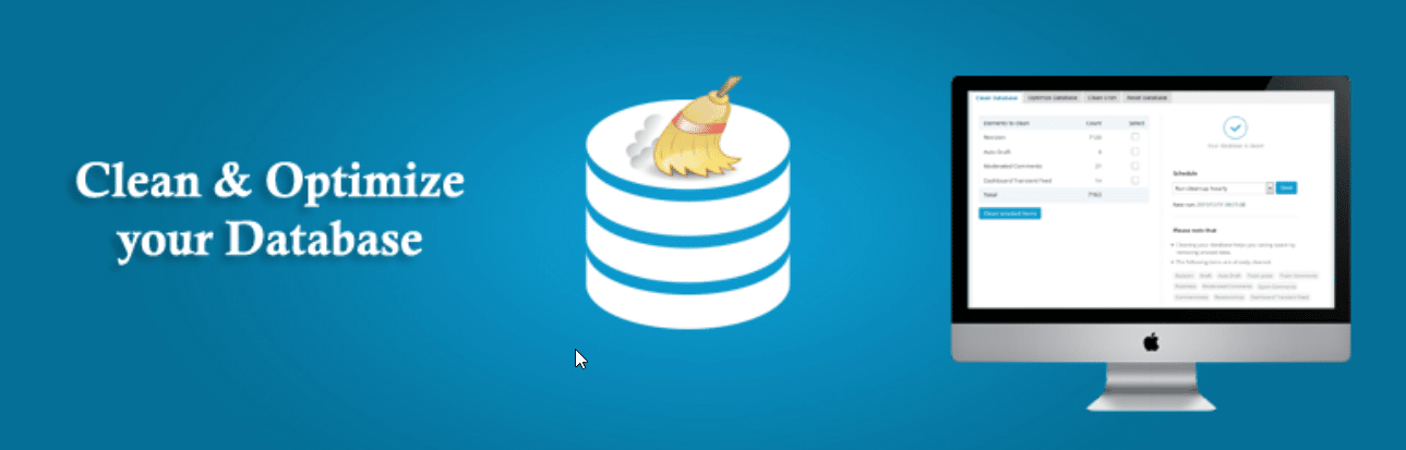 Плагины базы данных WordPress WordPress Database Plugins
