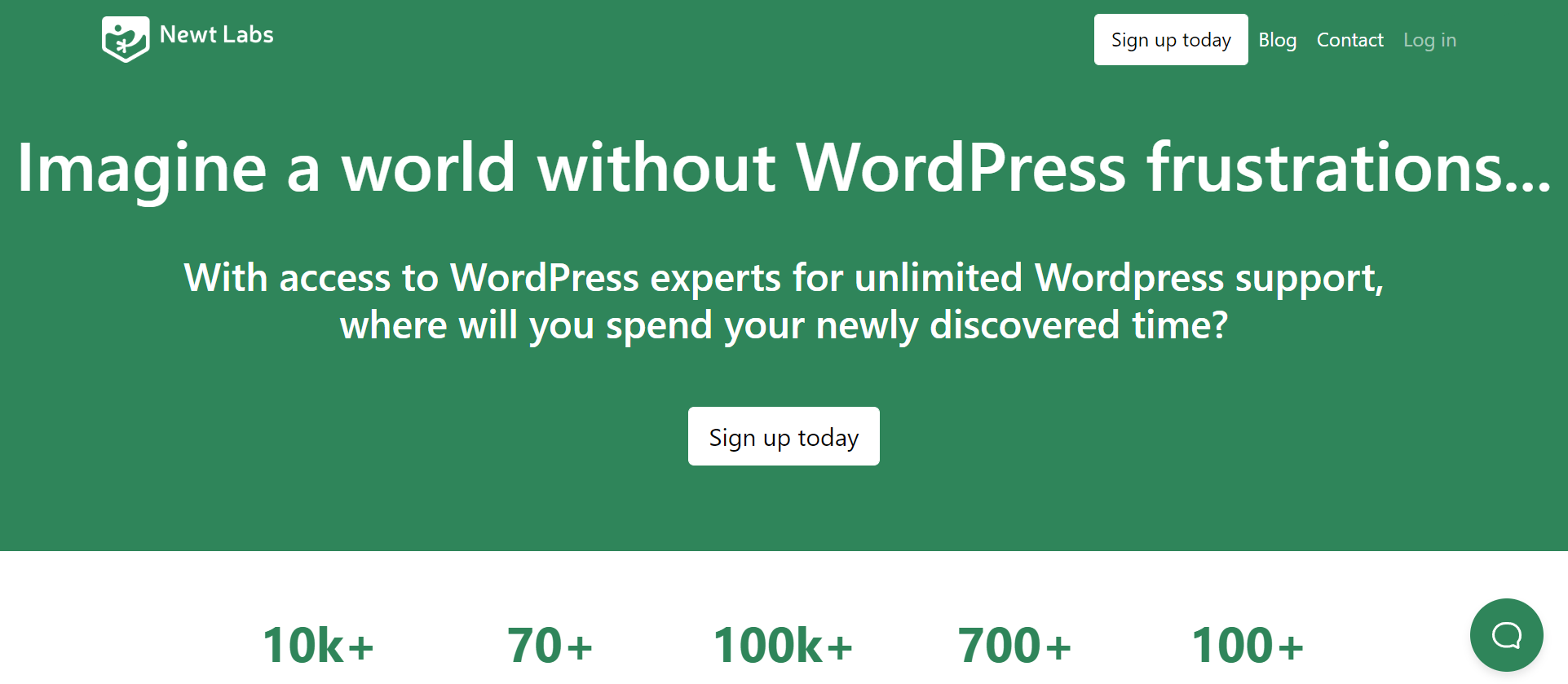 Servicios de WordPress de Newt Labs