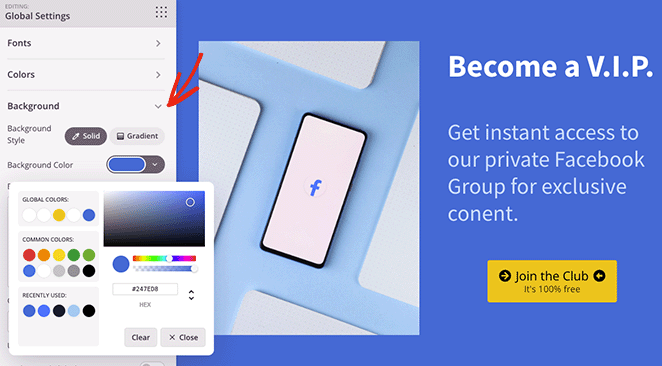 globalbackgroundsettings - SeedProd Global background settings