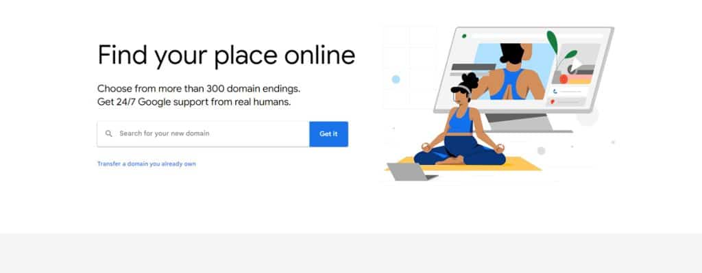 pemilihan domain