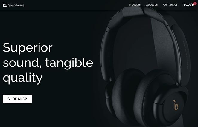 oneproductwebsitehomepage - SeedProd Example of how to make one product website homepage