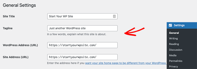 generalsettingswordpress - SeedProd WordPress general settings