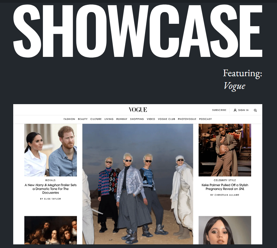 ภาพหน้าจอของหน้าแกลเลอรี WordPress Showcase