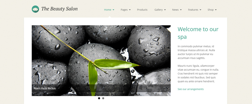 Cele mai bune teme WordPress pentru spa-uri