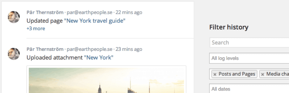 Wtyczka Prosta historia.