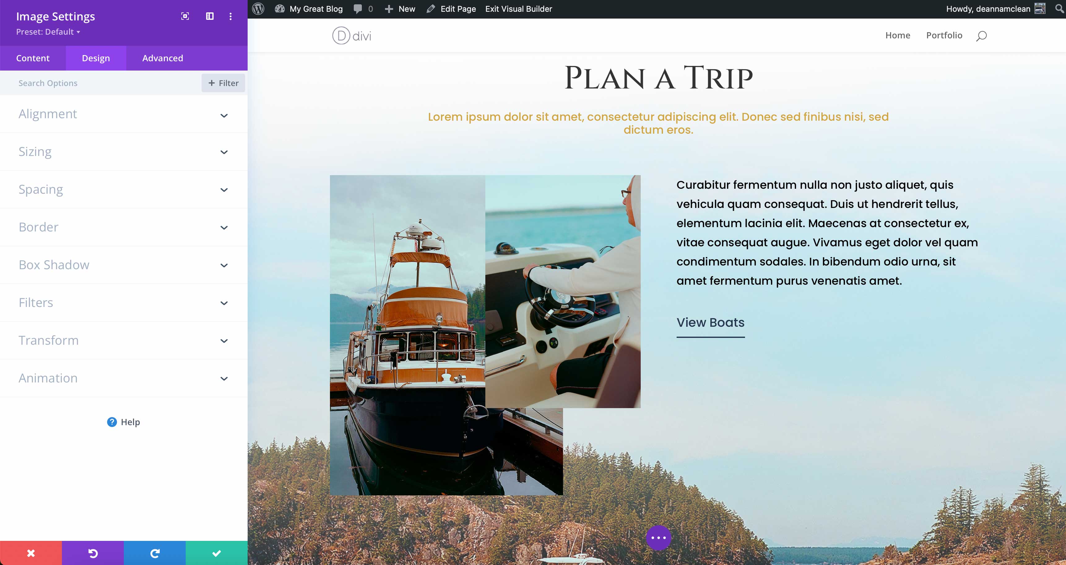 constructor visual divi