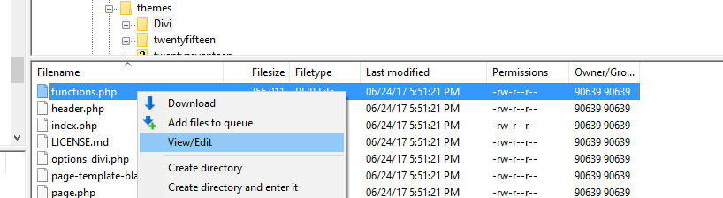 Editarea fișierului functions.php.
