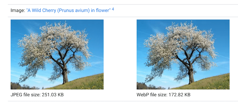 Um arquivo WebP é mais leve que um JPEG com a mesma qualidade - Fonte: desenvolvedores do Google WebP