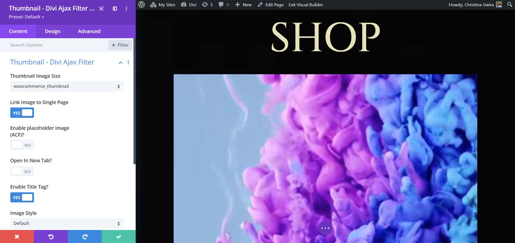 Yazıları Filtrele – Divi Ajax Filtresi