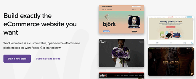 woocommerce전자 상거래 플러그인 - SeedProd WooCommerce ecommerce plugin