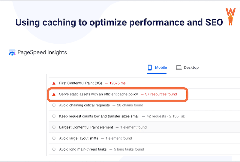 PageSpeed Insights consiglia di utilizzare la memorizzazione nella cache nel report sul rendimento - Fonte: PageSpeed Insights
